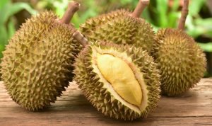 Durian Kelezatan Kesehatan Untuk Tubuh Anda!