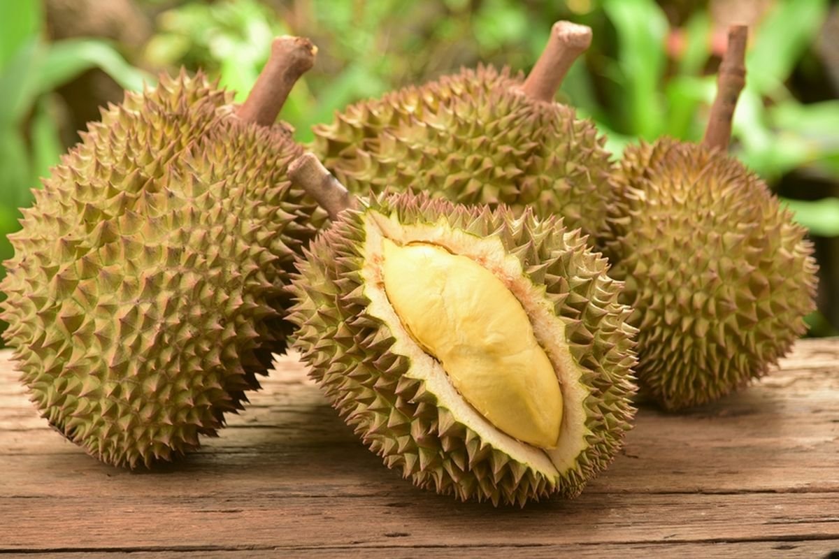 Durian Kelezatan Kesehatan Untuk Tubuh Anda!