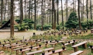 Keindahan Alam Orchid Forest Cikole Wisata Tersembunyi