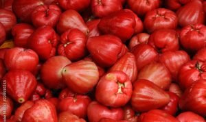 Rahasia Kecantikan Alami dengan Manpaat Buah Jambu Air