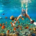 Petualangan Bawah Laut yang Seru Manpaat Olahraga Snorkeling