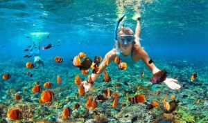 Petualangan Bawah Laut yang Seru Manpaat Olahraga Snorkeling