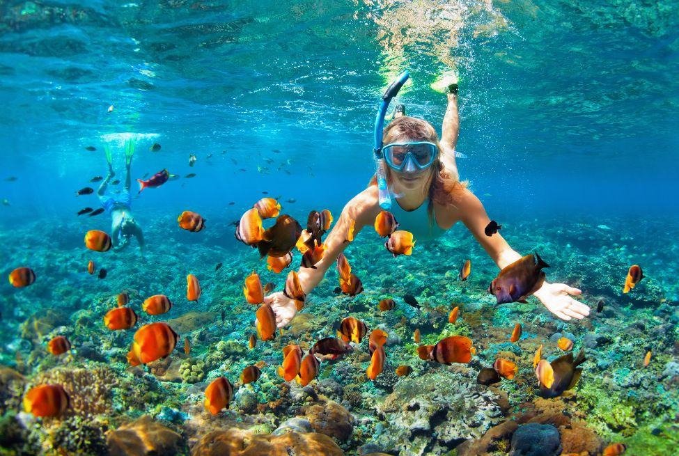 Petualangan Bawah Laut yang Seru Manpaat Olahraga Snorkeling