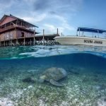 Explorasi Keindahan Ajaib Pulau Sangalaki