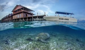 Explorasi Keindahan Ajaib Pulau Sangalaki