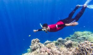 Trip Snorkeling di Pulau