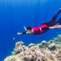 Trip Snorkeling di Pulau