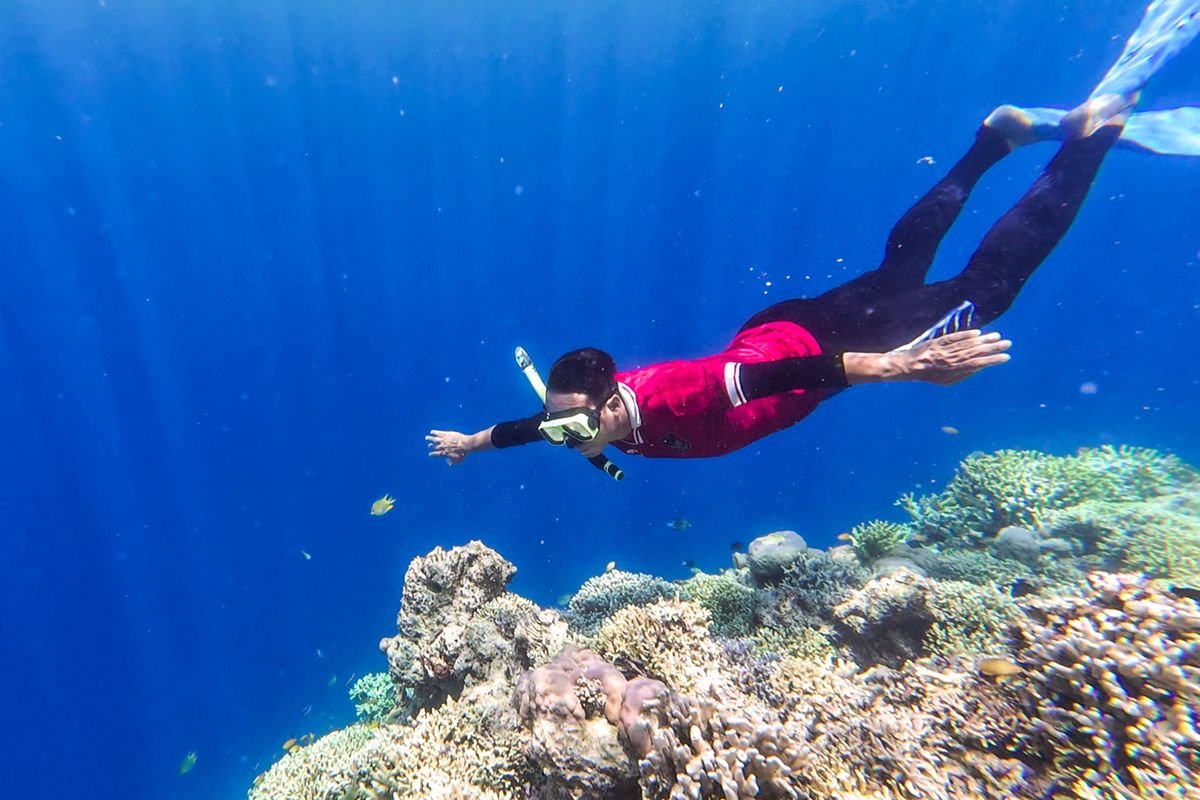 Trip Snorkeling di Pulau