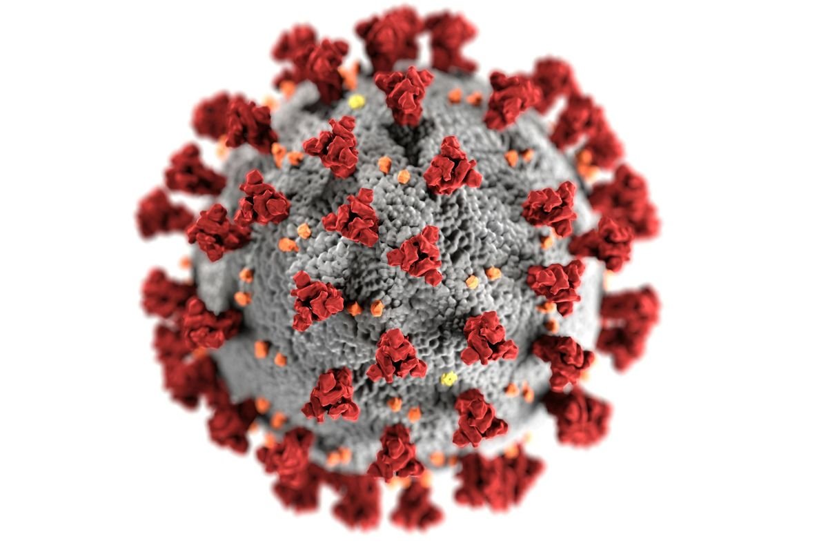 https://gingertoothandtwine.co.id/berita/Gejala Mirip Covid-19, Virus HKU5 Jadi Ancaman Pandemi Baru/
