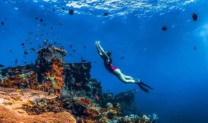 Wisata Snorkeling Bali 2026 di Amed dan Tulamben_11zon Wisata Snorkeling Bali 2026 di Amed dan Tulamben