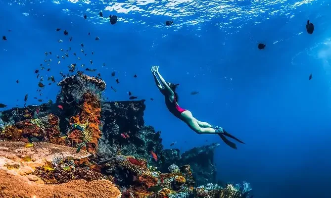 Wisata Snorkeling Bali 2026 di Amed dan Tulamben