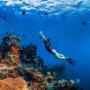 Wisata Snorkeling Bali 2026 di Amed dan Tulamben