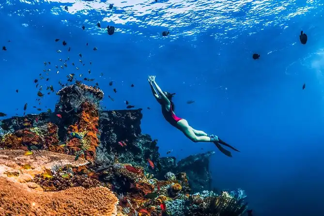 Wisata Snorkeling Bali 2026 di Amed dan Tulamben