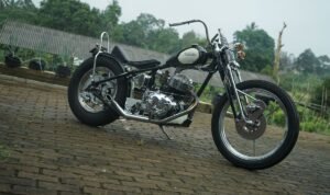 Tren Custom